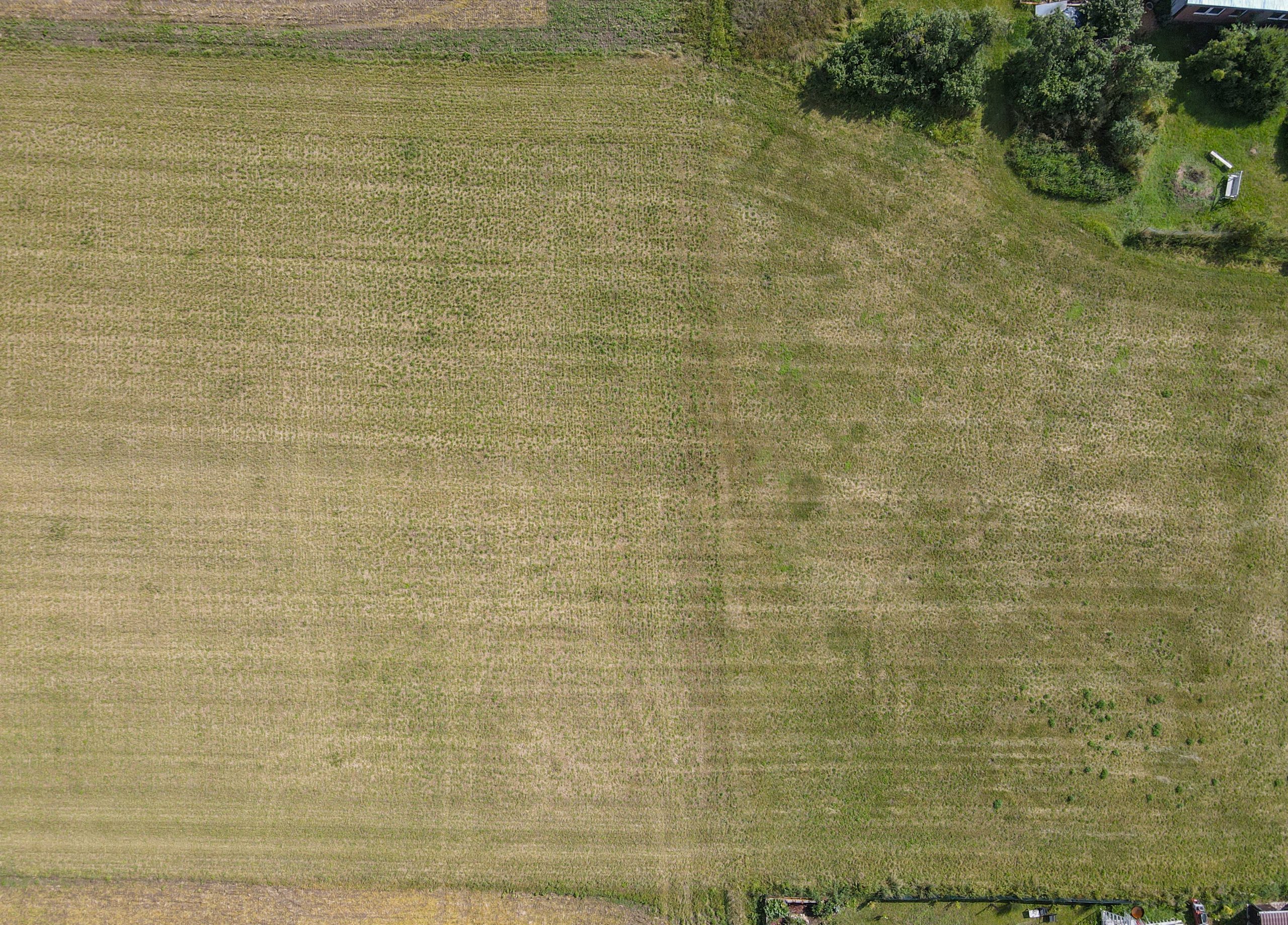 Die Jacobswiese vor der Pflanzung Foto: Patrick Pleul