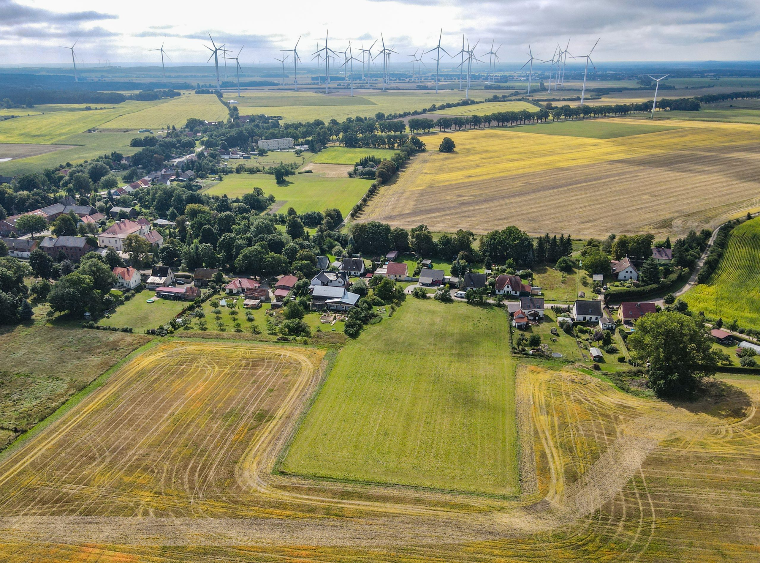 Die Jacobswiese vor der Pflanzung Foto: Patrick Pleul